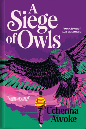 A Siege Of Owls